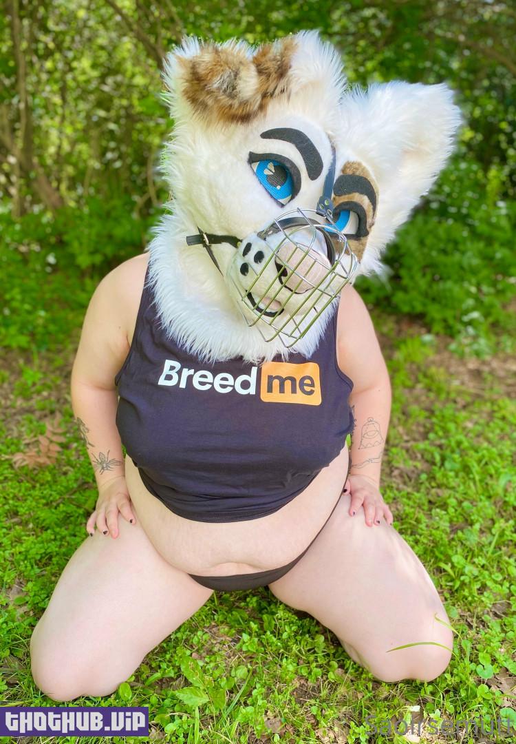 Huff Puppy (saoirsemutt) Onlyfans Leaks (144 images)