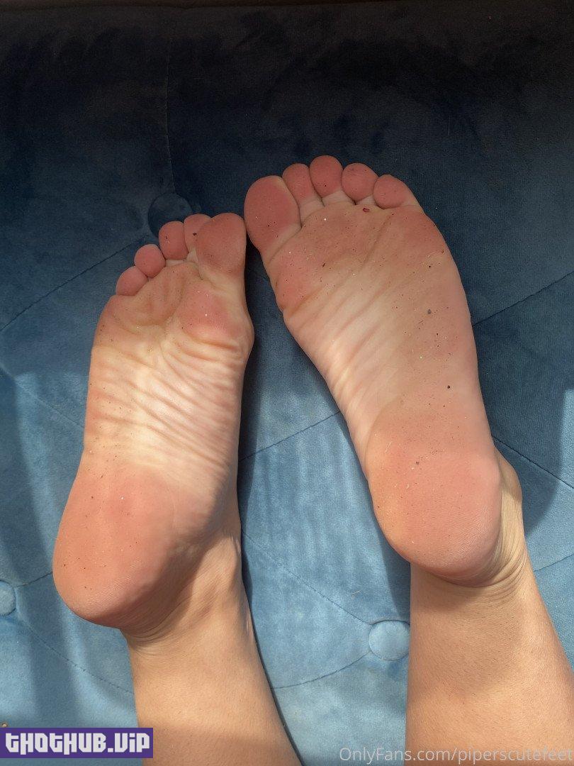P I P E R     F O X (piperscutefeet) Onlyfans Leaks (125 images)